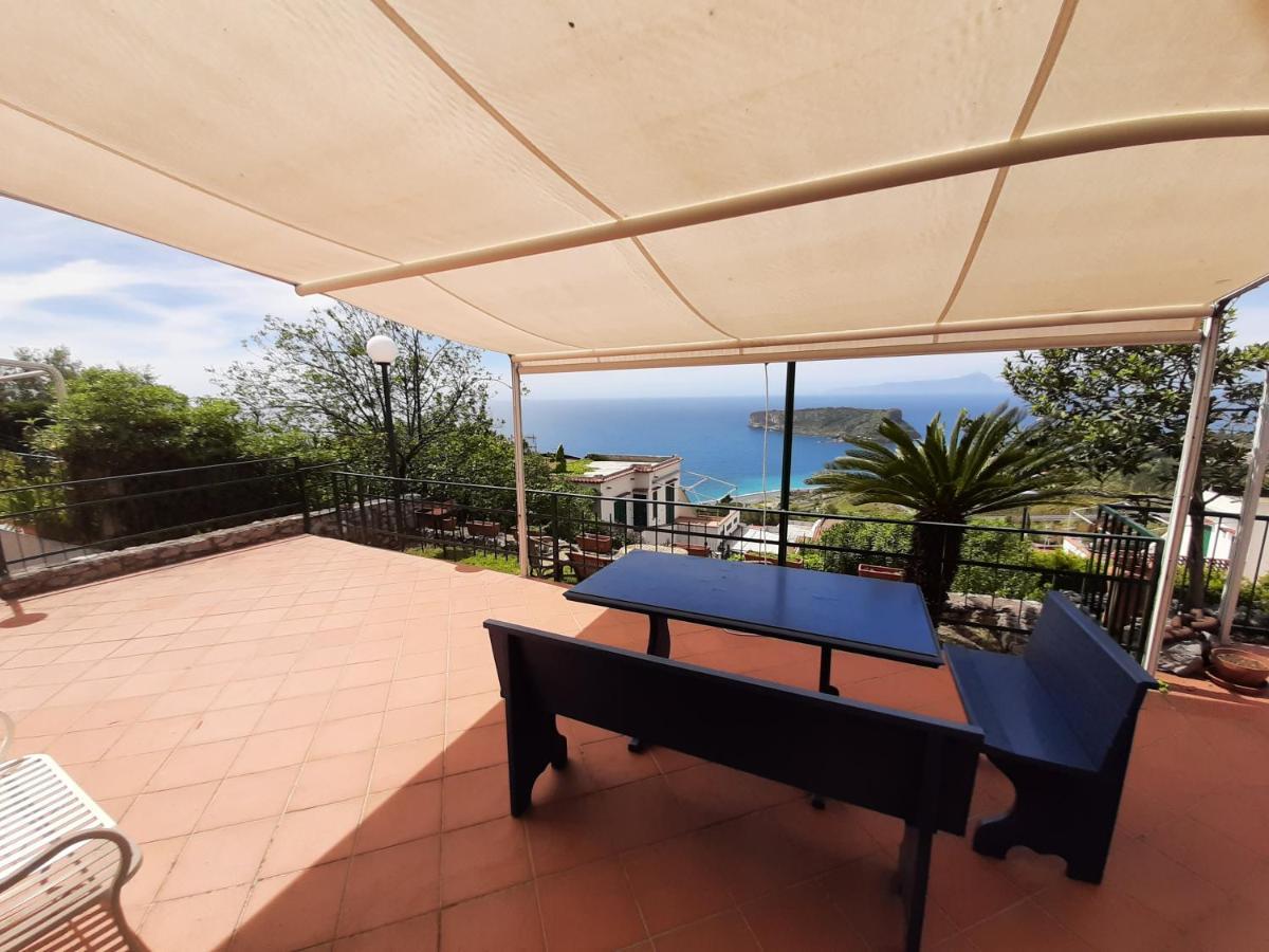 Arcomagno Guest House San Nicola Arcella Kültér fotó
